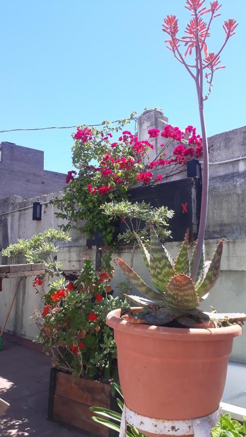 Kymani House Otel Rosario Dış mekan fotoğraf
